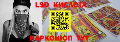 2c-b Кингисепп