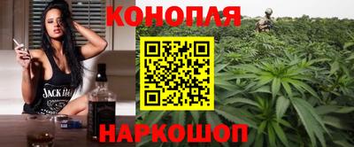 2c-b Кингисепп