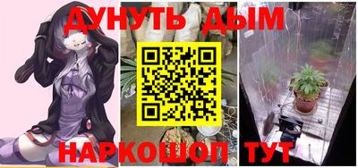 2c-b Кингисепп