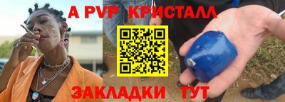 2c-b Кингисепп