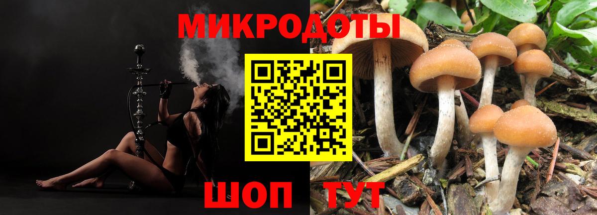 где найти   Вход с VPN  Барабинск  Псилоцибиновые грибы GOLDEN TEACHER 